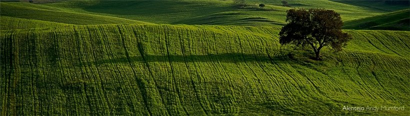 Ландшафты от фотографа Andy Mumford