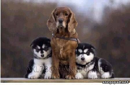 Вот так все начиналось